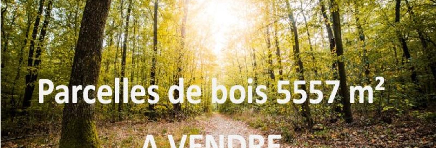 Terrain  5755 m² à vendre à Le Fieu (33230)