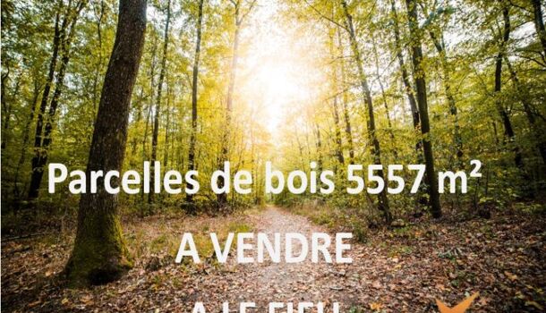 Terrain  à vendre Fieu (Le) 33230