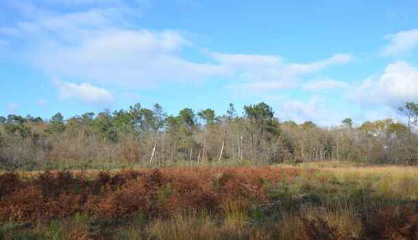 Terrain  à vendre Fieu (Le) 33230