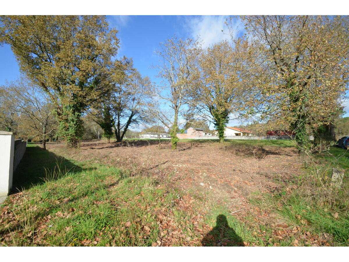Terrain  à vendre Porchères 33660