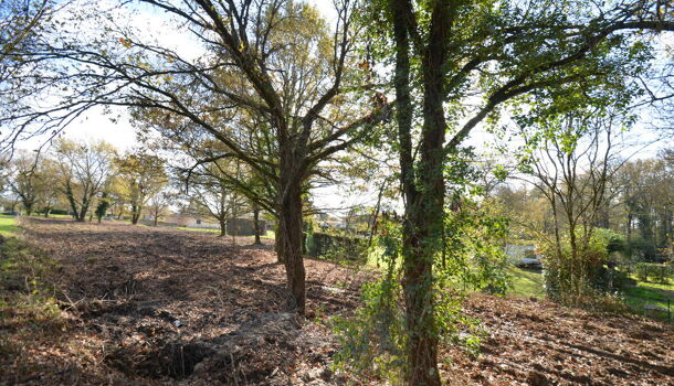 Terrain  à vendre Porchères 33660