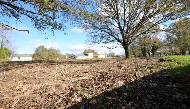 Terrain  à vendre Porchères 33660