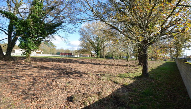 Terrain  à vendre Porchères 33660