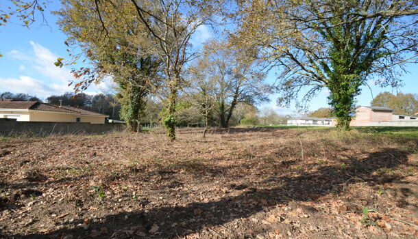 Terrain  à vendre Porchères 33660