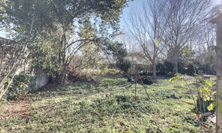 Photo N° 4