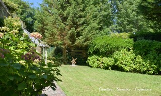 Photo N° 9