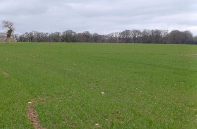 terrain  pièces 880 m2 à vendre à Saint-Gérand (56920)