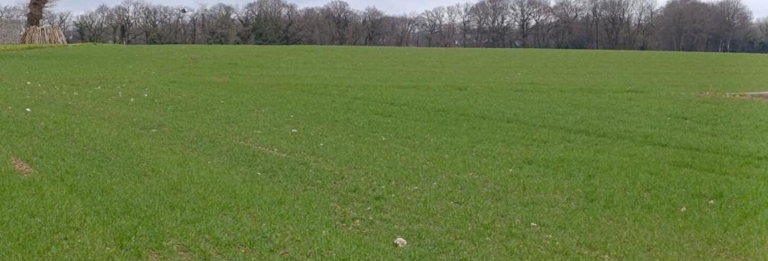 Terrain  880 m² à vendre à Saint-Gérand-Croixanvec (56920)