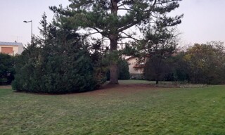 Photo N° 5