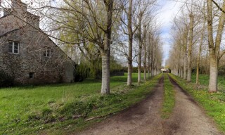 Photo N° 5