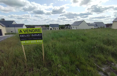 vente terrain 46 000 € à proximité de Amboise (37400)