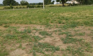 Terrain  860 m² à vendre à Chevroux (01190)