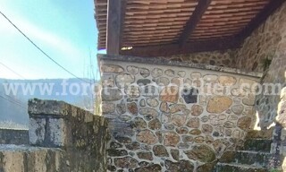 Photo N° 5