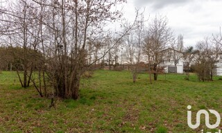 Photo N° 5