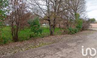 Photo N° 6