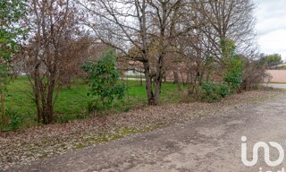 Photo N° 6