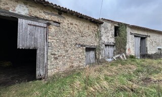 Photo N° 3