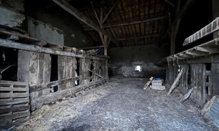 Photo N° 6