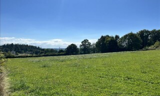 Terrain  11210 m² à vendre à Goulles (19430)