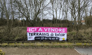 Photo N° 4