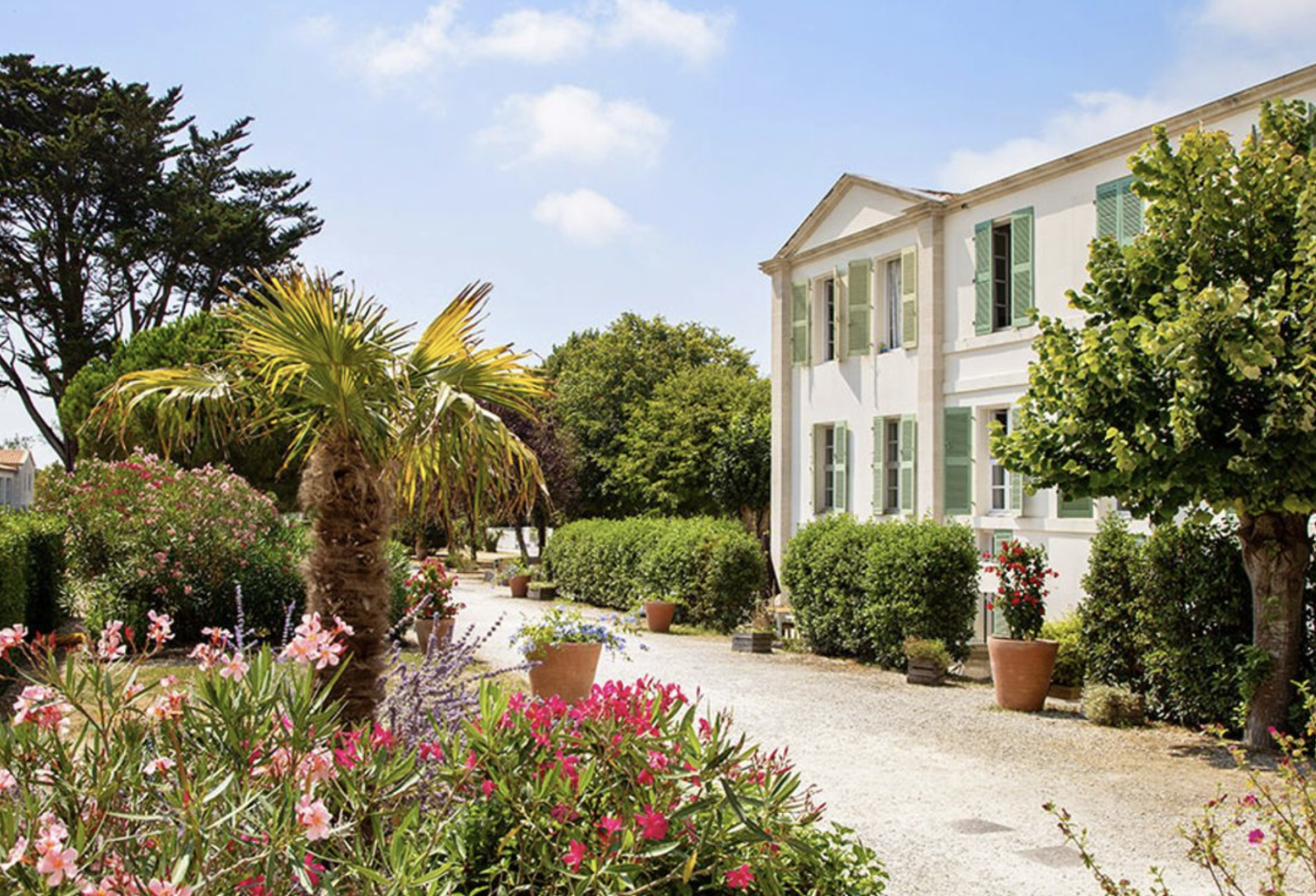 Opportunité d'Investissement en LMNP sous Bail Commercial - — photo 1