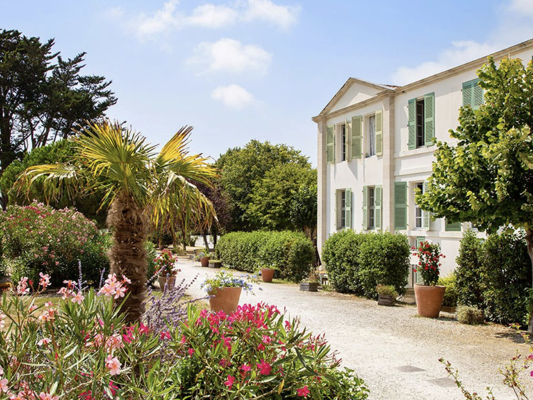 Opportunité d'Investissement en LMNP sous Bail Commercial - — photo 1
