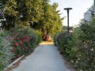 Terrain - 241 — photo 3