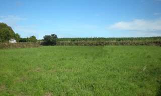 Terrain 1270 m² à construire Allan (26780)