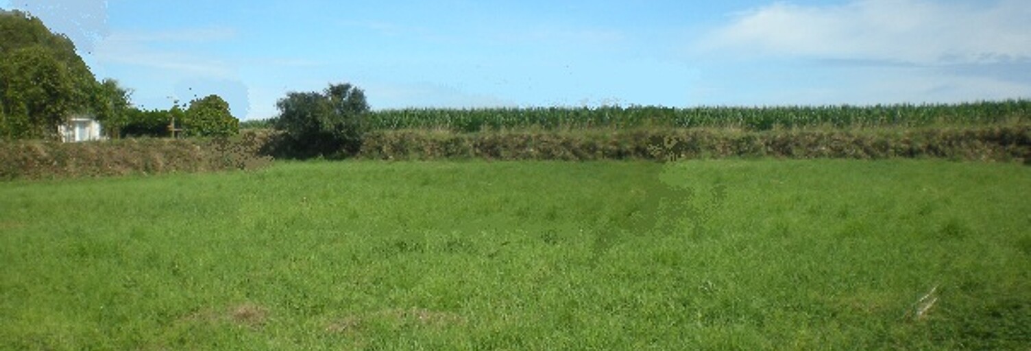 Terrain 1270 m² à construire Allan (26780)