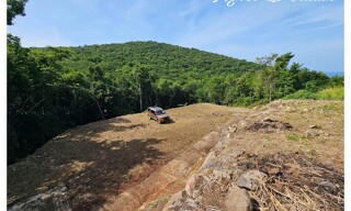 Terrain  3182 m² à vendre à Bouillante (97125)