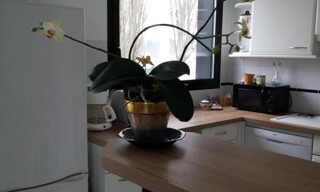 Photo N° 4