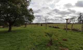 Photo N° 4