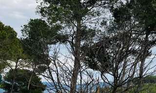 Maison 2 Pièces 30 m² à vendre à Le Castellet (83330)