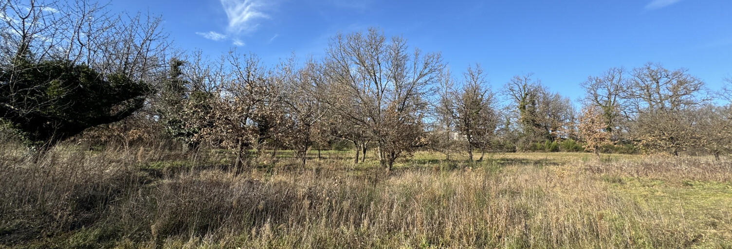 Terrain  912 m² à vendre à Roiffieux (07100)