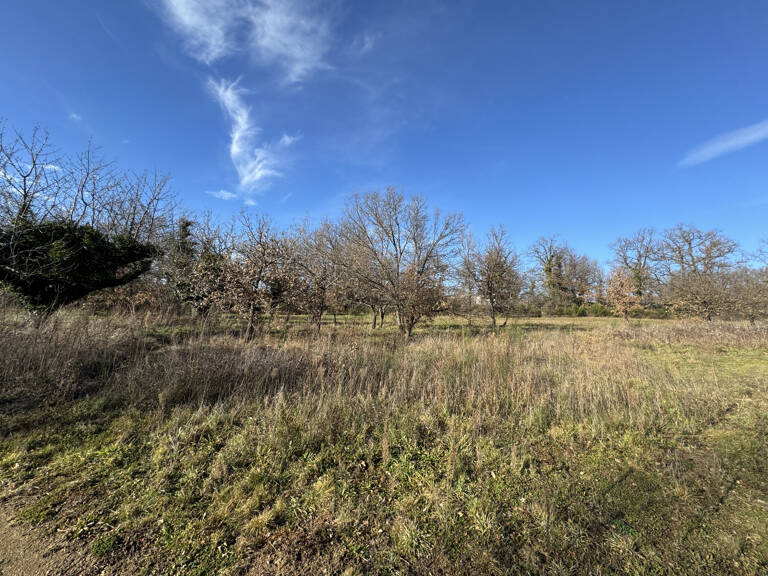 TERRAIN A BÂTIR ROIFFIEUX — photo 1