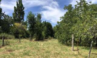 Terrain  3179 m² à vendre à Saint-Christophe (17220)