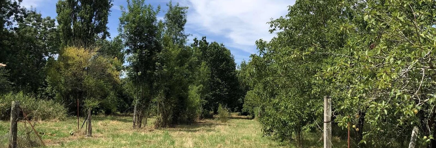 Terrain  3179 m² à vendre à Saint-Christophe (17220)