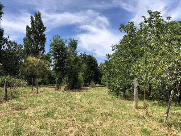 Terrain à bâtir Saint Christophe — photo 1