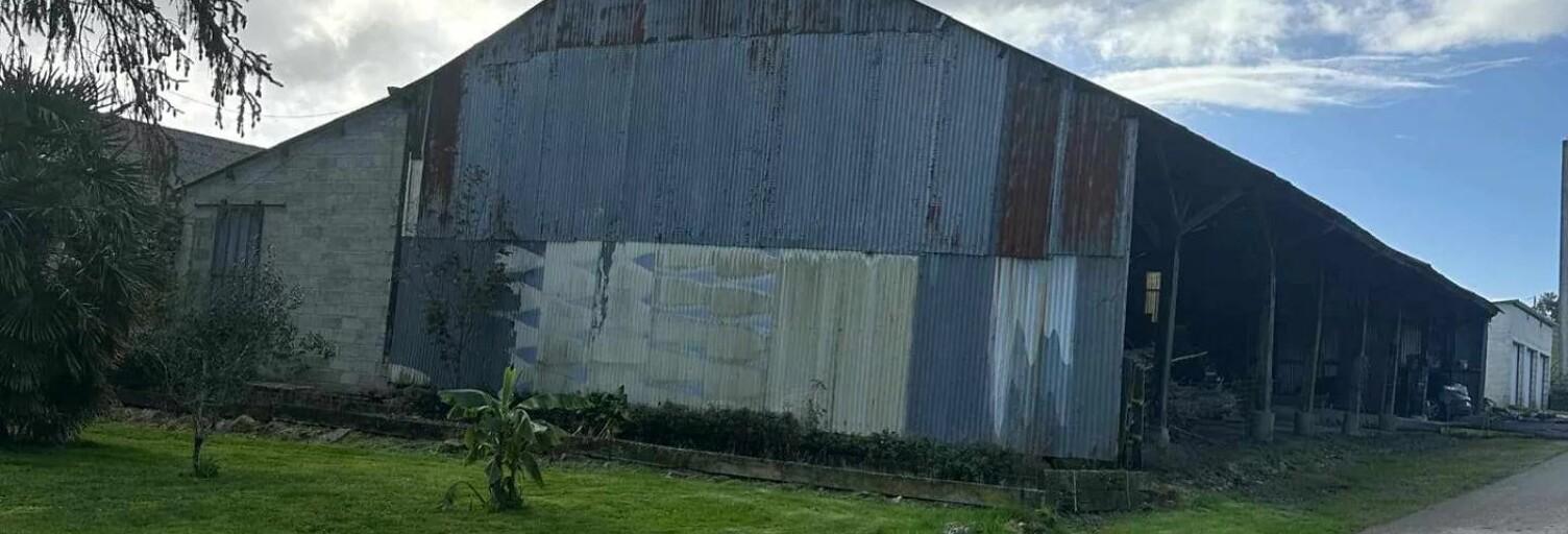 Commerce 2 Pièces 325 m² à vendre à Séglien (56160)