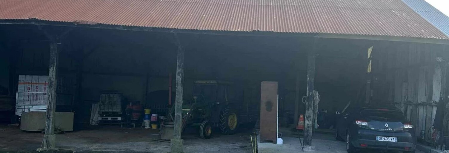 Commerce 2 Pièces 325 m² à vendre à Séglien (56160)