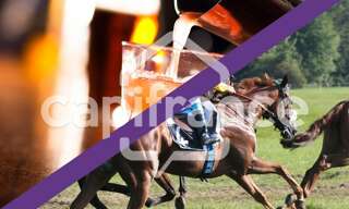 Commerce 5 Pièces 200 m² à vendre à La Ferrière (85280)