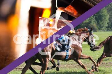 Commerce 5 pièces 339000 €