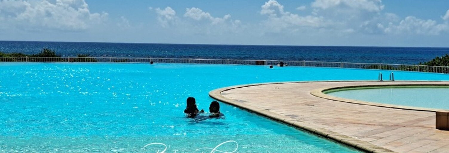 Appartement 1 Pièce 35 m² à vendre à Saint-François (97118)