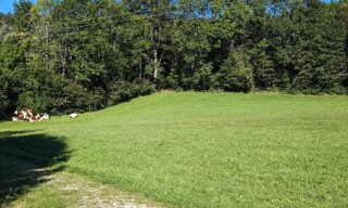 Photo N° 3