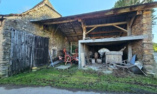 Photo N° 4