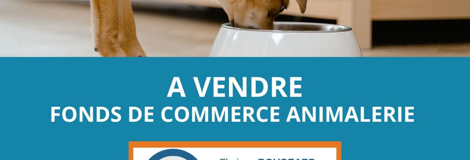 Commerce  125 m² à vendre à Saint-Carné (22100)