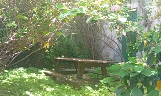 Photo N° 2