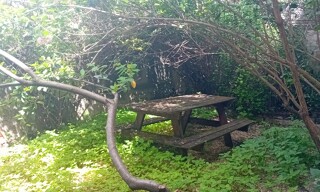 Photo N° 3