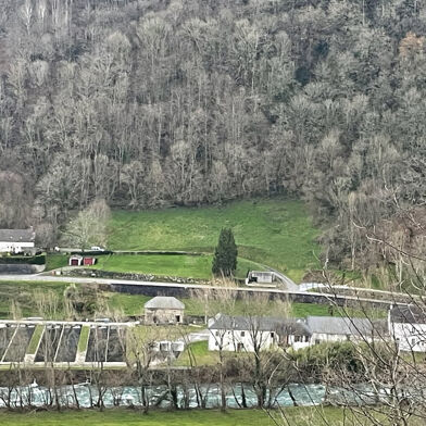 Terrain  40000 €