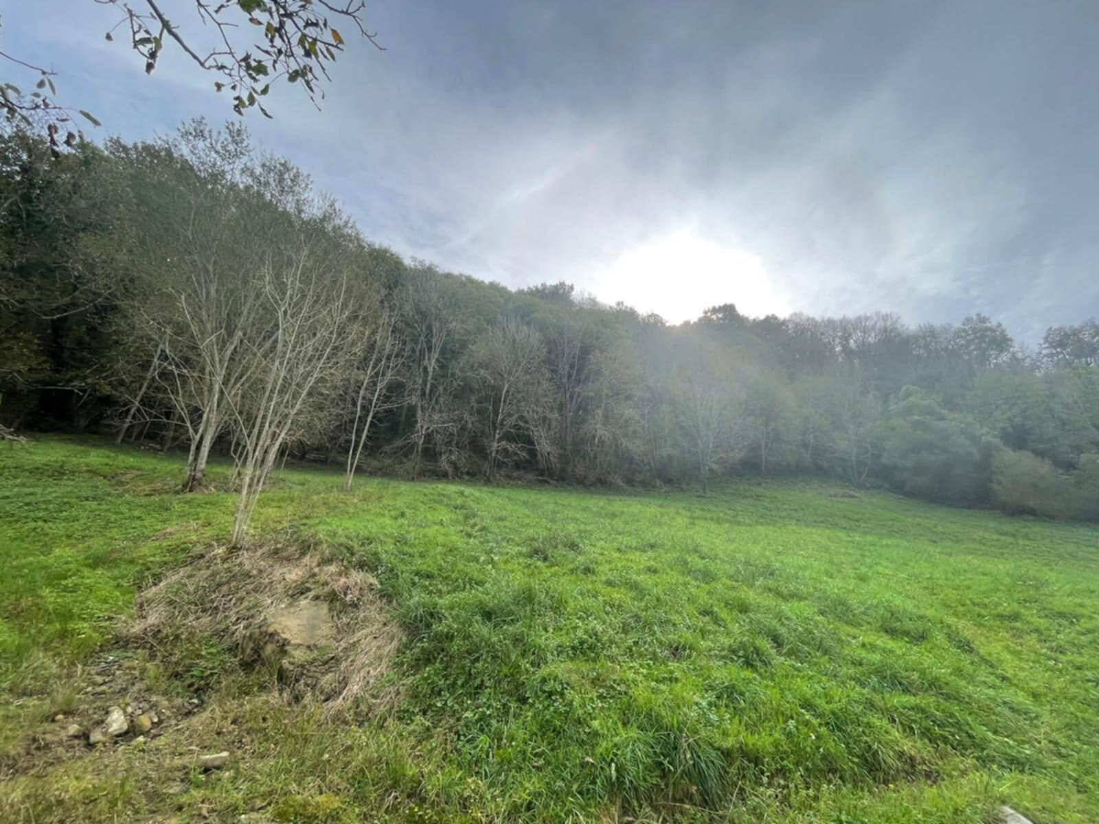 Terrain  à vendre Licq-Athérey 64560